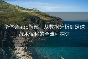 华体会app解密：从数据分析到足球战术优化的全流程探讨