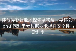 体育博彩智能风控体系构建：华体会app如何利用大数据技术提升安全性与盈利率