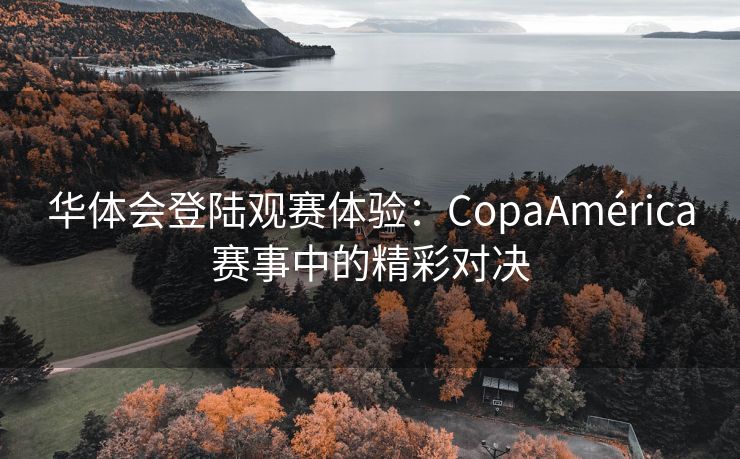 华体会登陆观赛体验：CopaAmérica赛事中的精彩对决